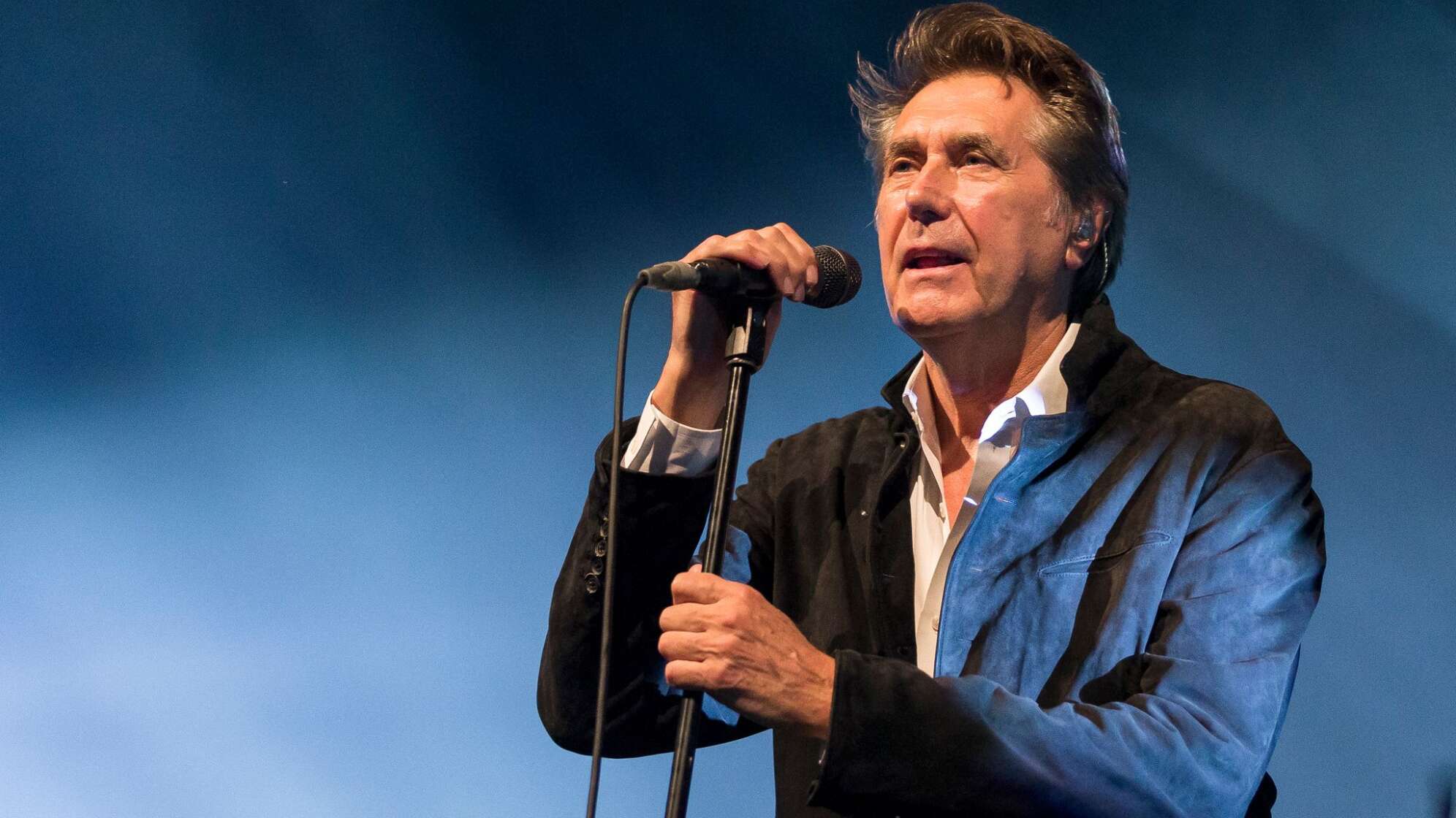 Popikone Bryan Ferry