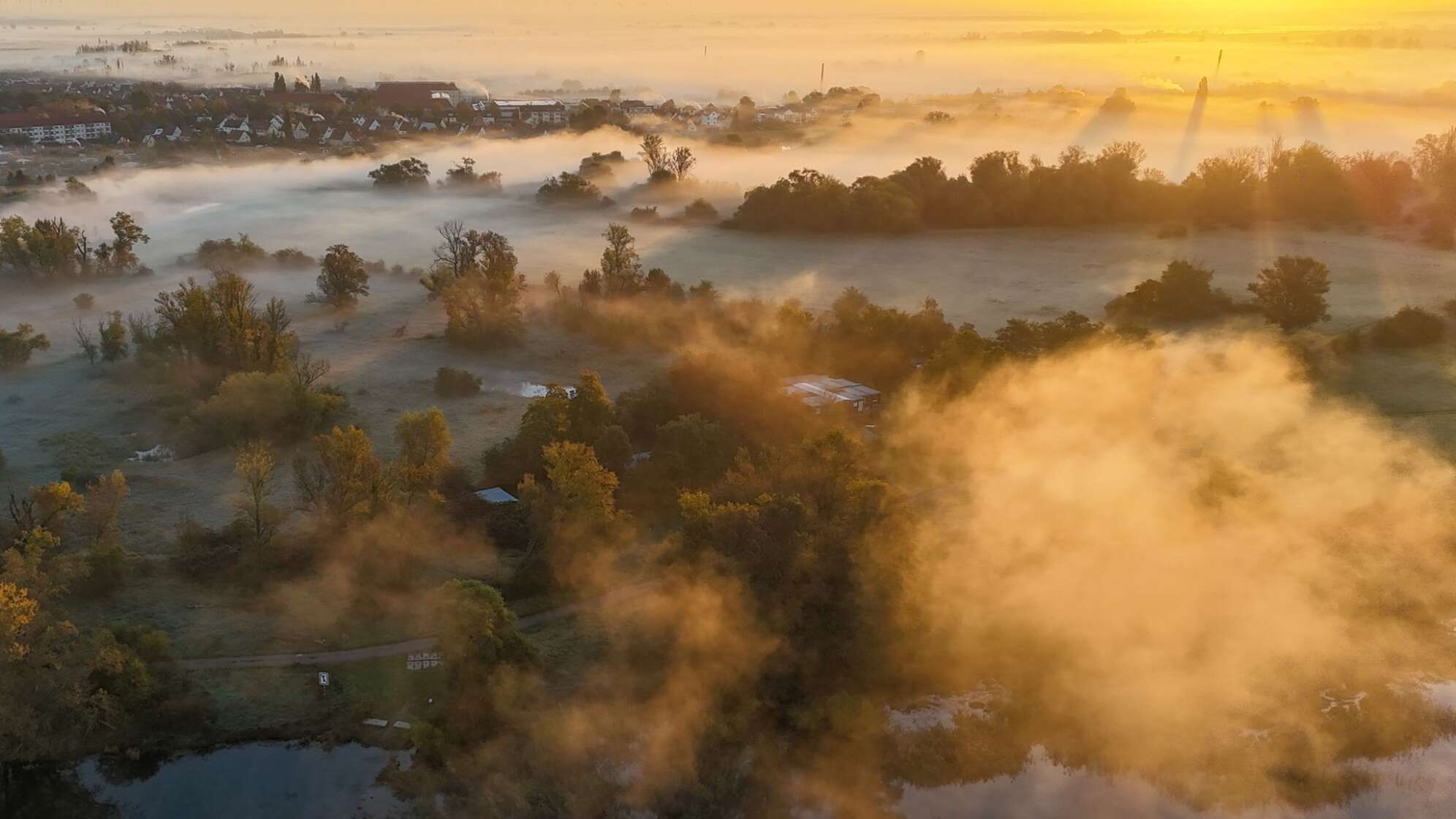 Nebel im Herbst