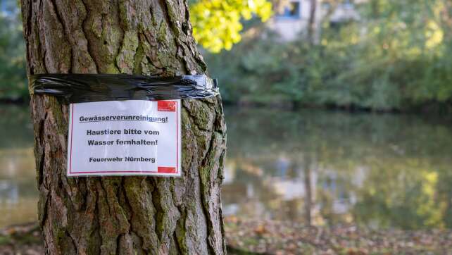 Rätselhaftes Fischsterben im Nürnberger Langwassersee