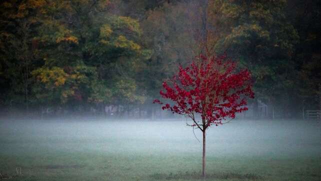 Herbstwetter in Bayern zum Wochenstart erwartet