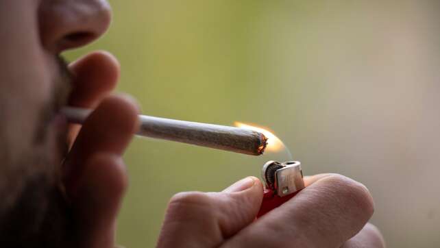 Cannabis-Schwarzmarkt bisher kaum verdrängt