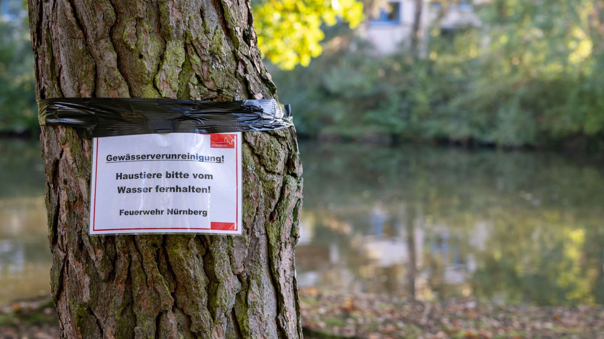 Langwassersee in Nürnberg verunreinigt