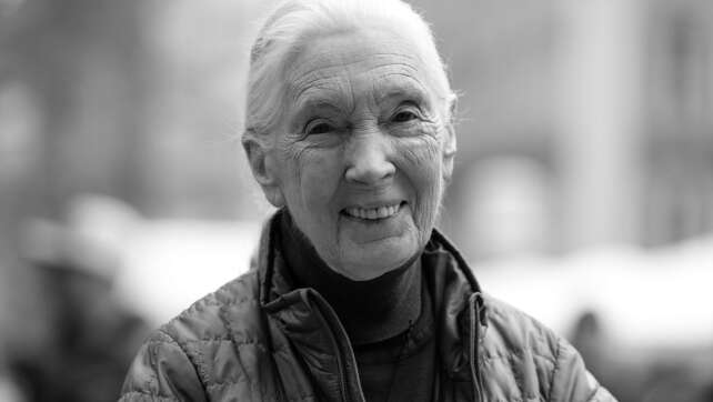 Britische Schimpansen-Forscherin Jane Goodall tot