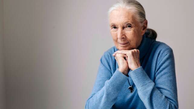 «Schimpansen-Mama» Jane Goodall ist tot