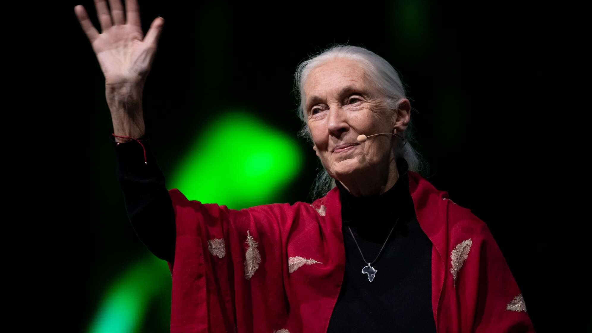 Primaten-Forscherin Jane Goodall ist tot