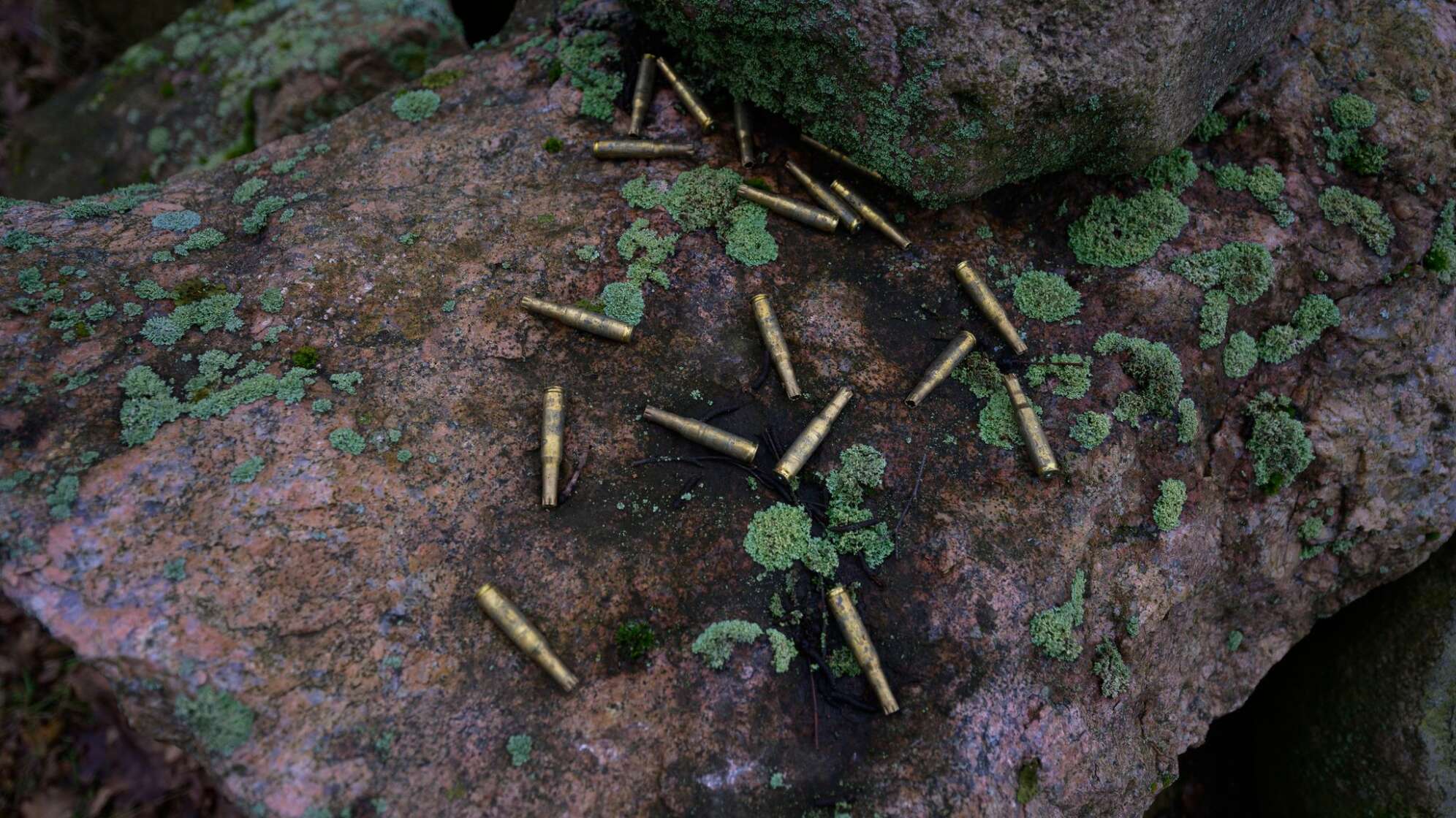 Bundeswehr im Manöver