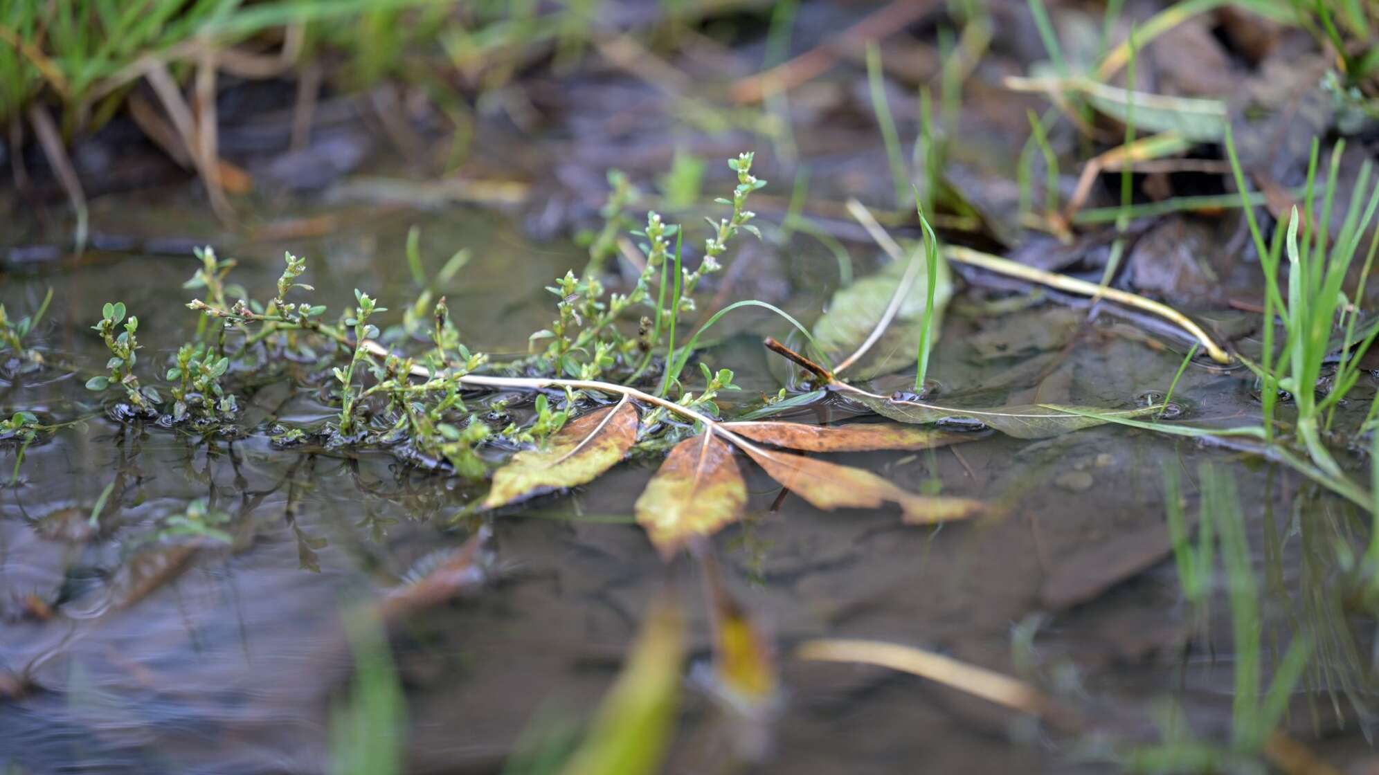 Wetterlage in Deutschland