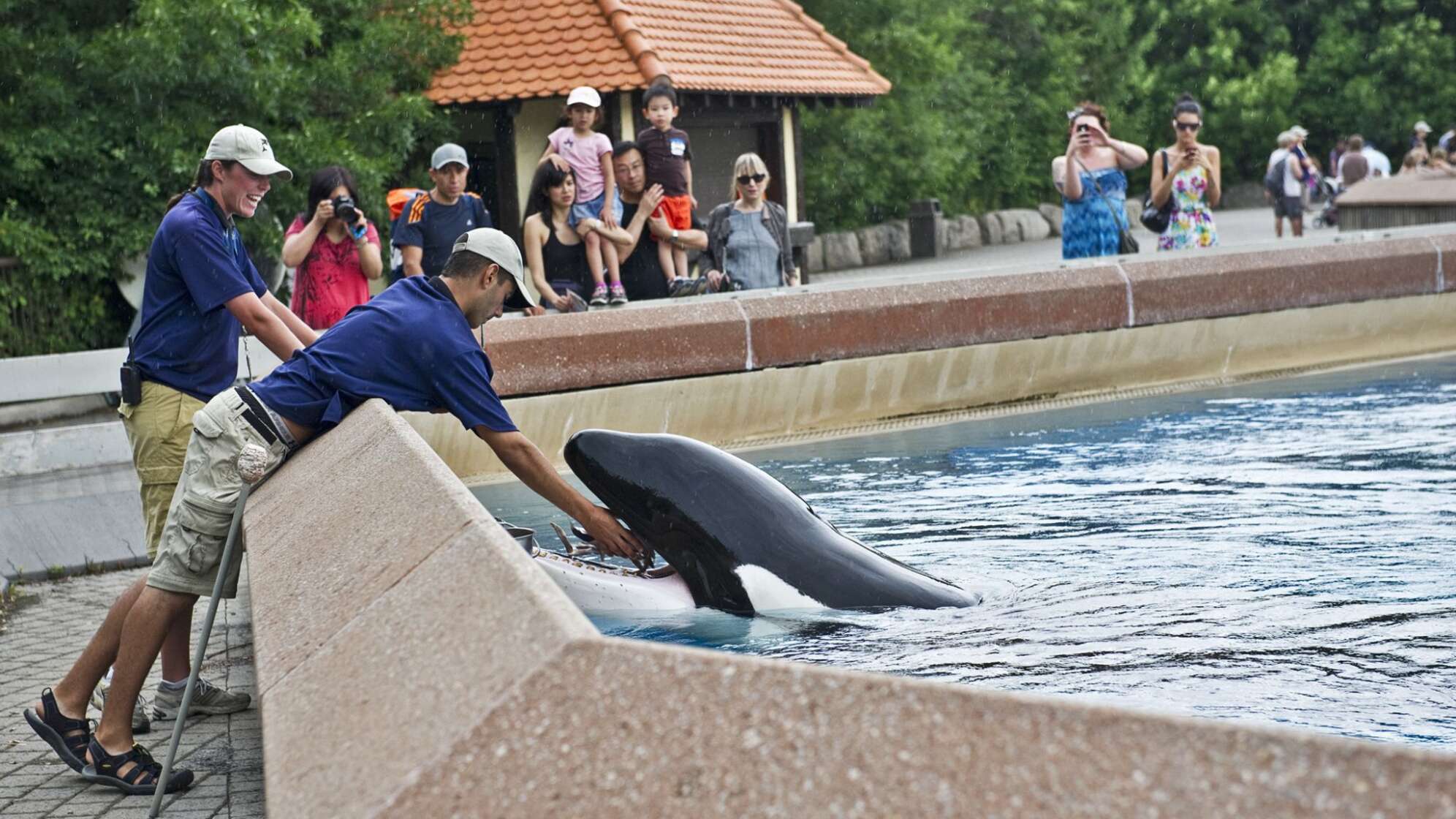 Marineland