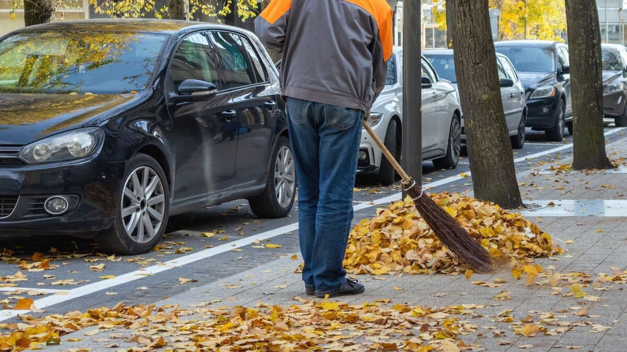 Laub fegen