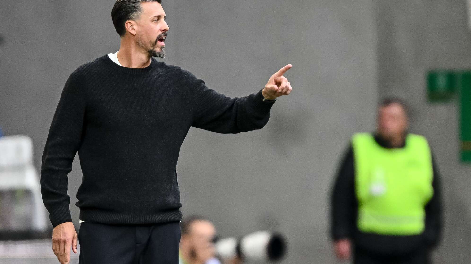 Sandro Wagner