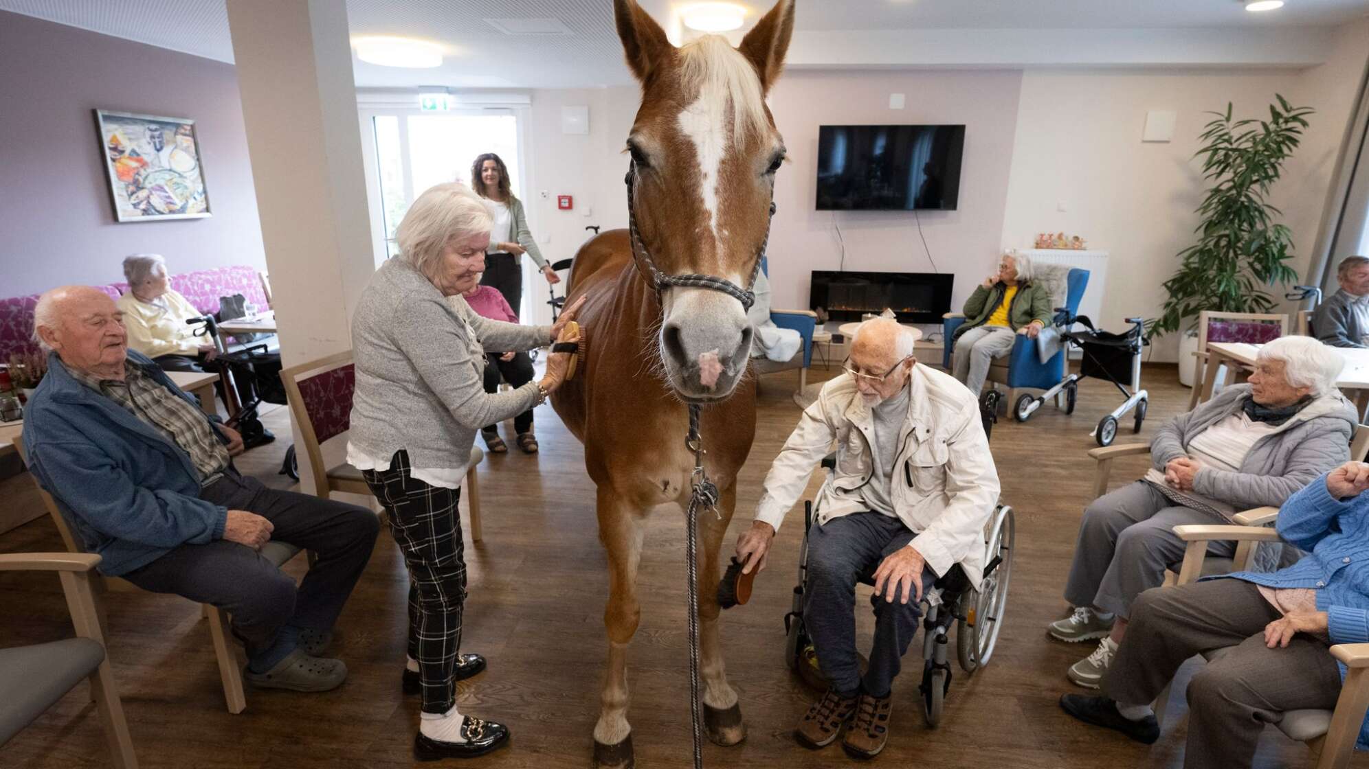 Mit dem Pferd ins Altenheim