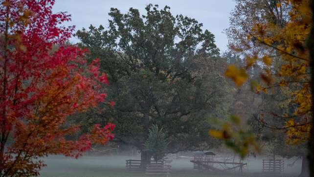 Herbstliches Wochenende bringt Nebel und Sonne