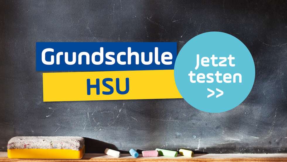 Schaffst du die 4. Klasse im Heimat- und Sachunterricht? Teste dich!