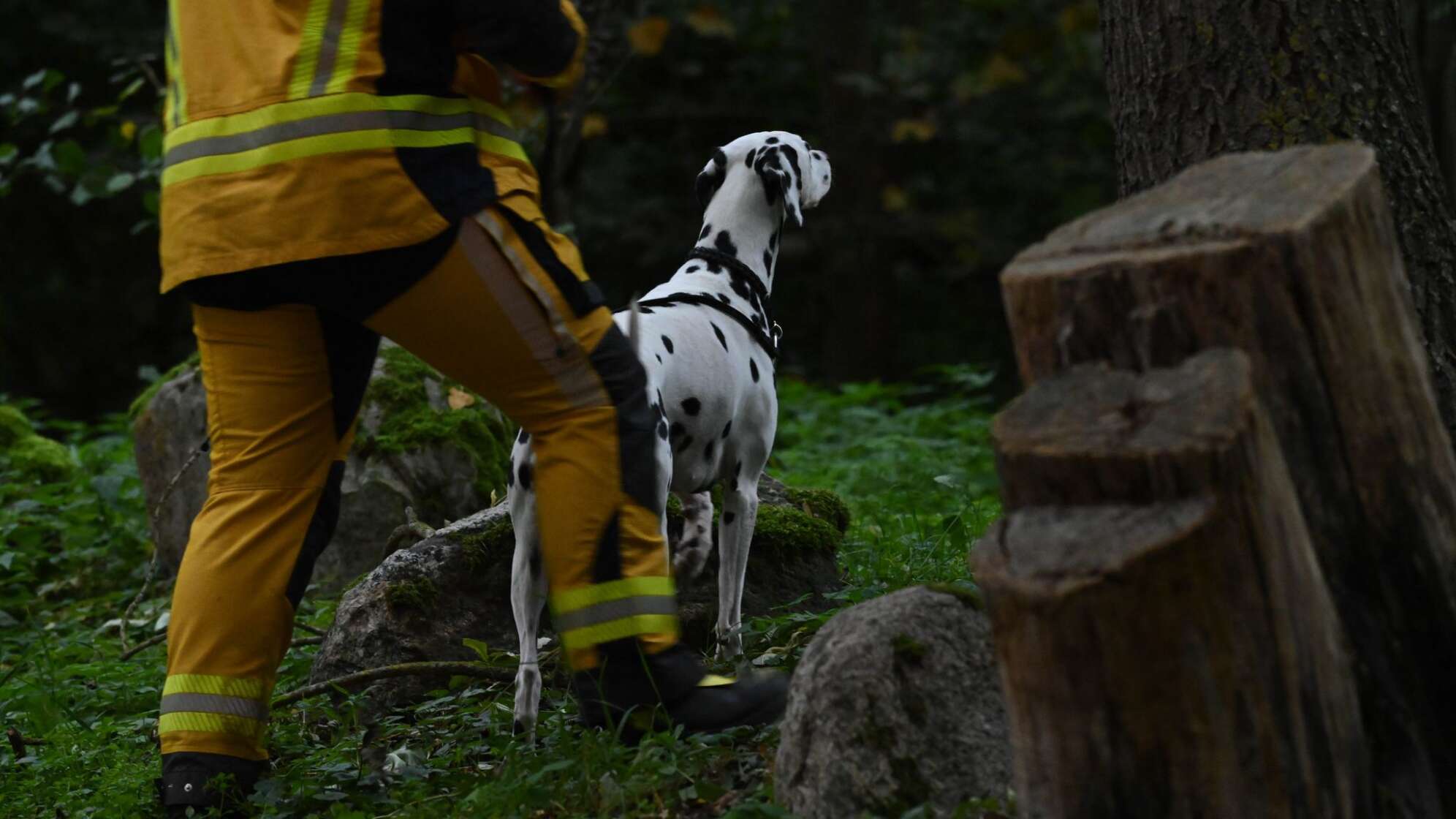 Polizei sucht nach Achtjährigem aus Güstrow