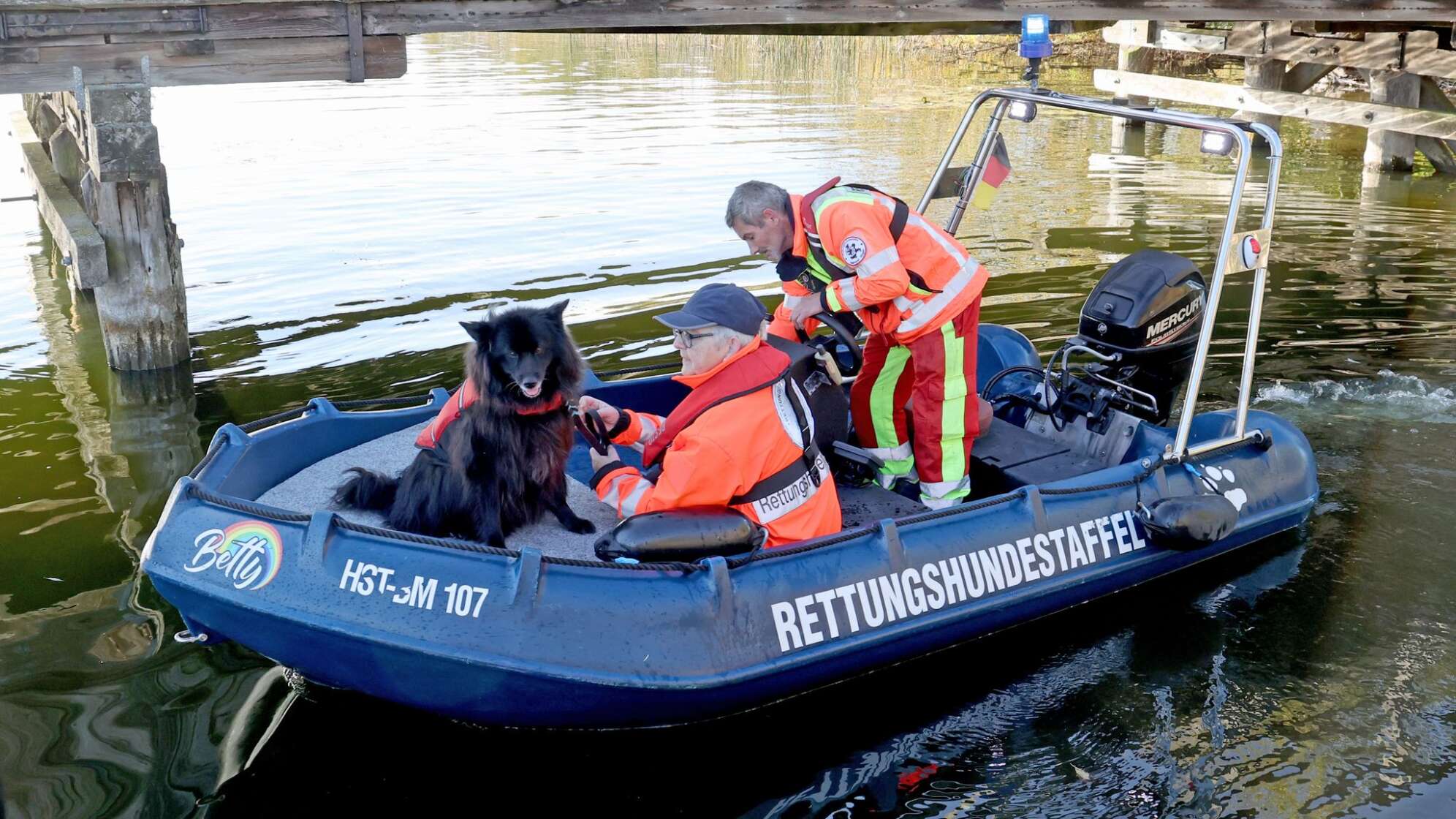 Suche nach vermisstem Achtjährigen mit Suchhund