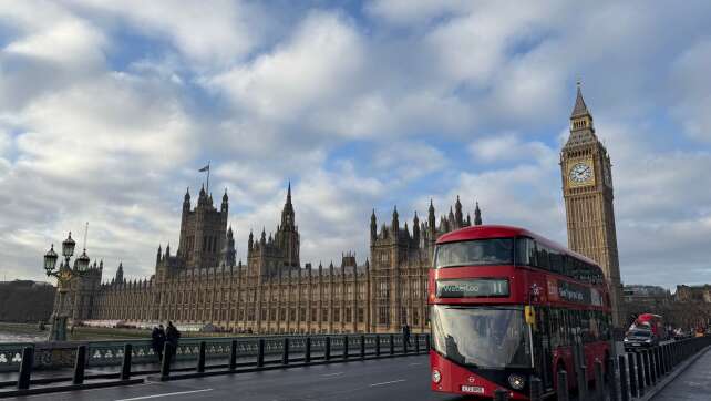 Busfahrer berichten über Kakerlaken in Londoner Bussen
