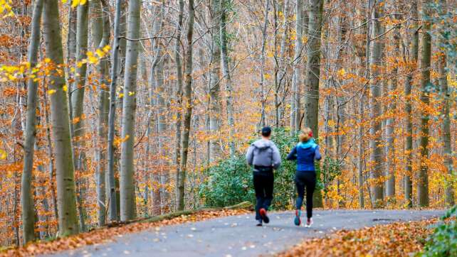 Wochenende wird vielerorts sonnig - Nachtfrost im Osten