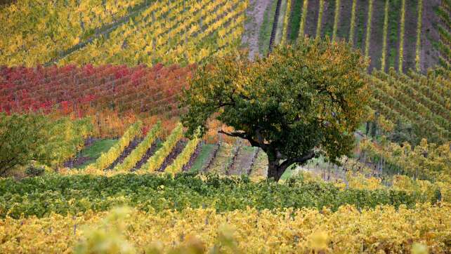 Sonne am Wochenende – Wetterwechsel ab Montag