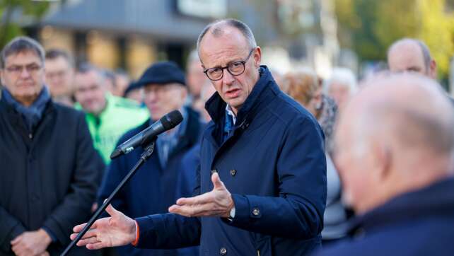 Merz: Keine Zusammenarbeit mit AfD mit mir als Parteichef