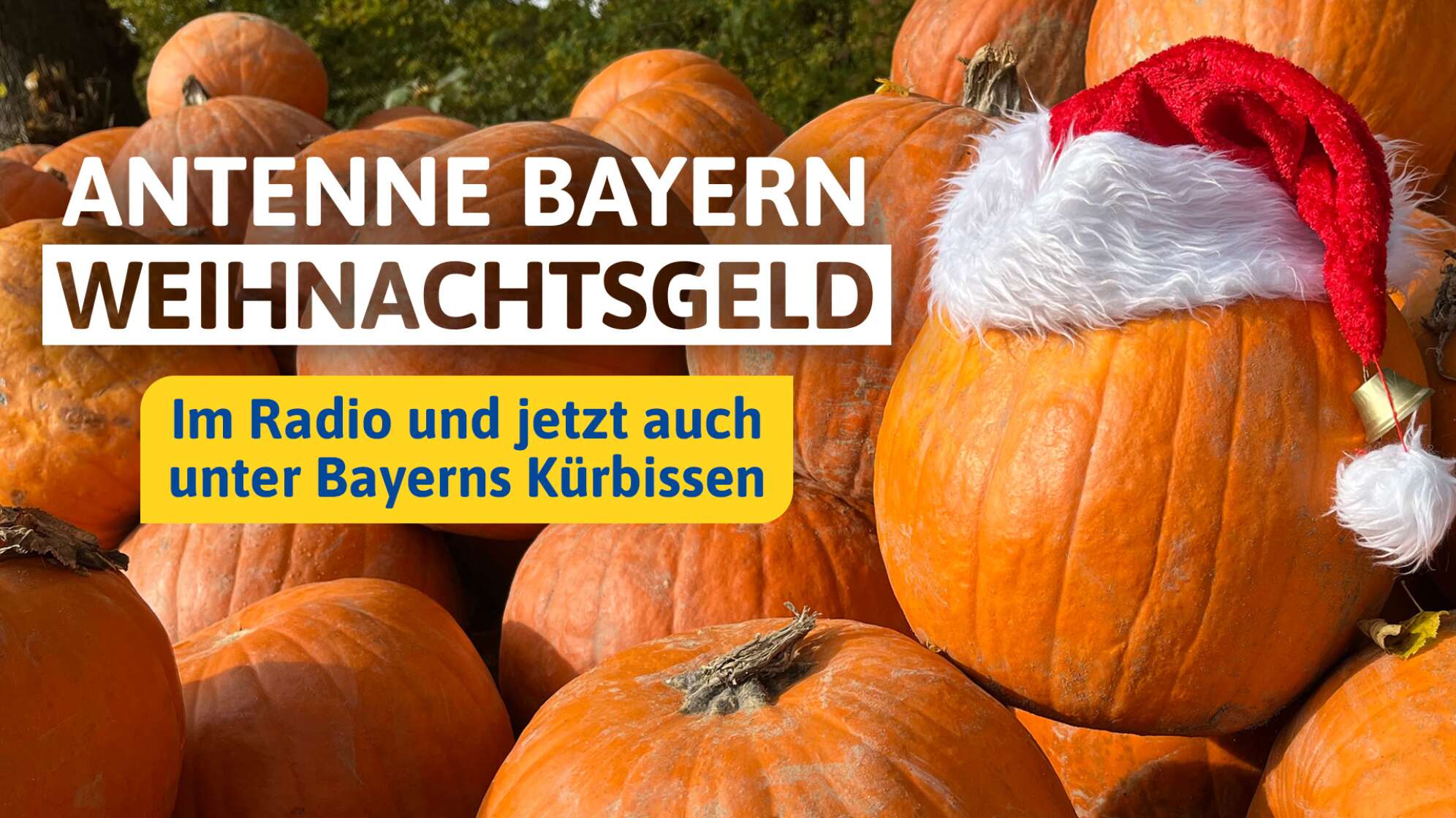 Das ANTENNE BAYERN Weihnachtsgeld: Im Radio & unter Bayerns Kürbissen