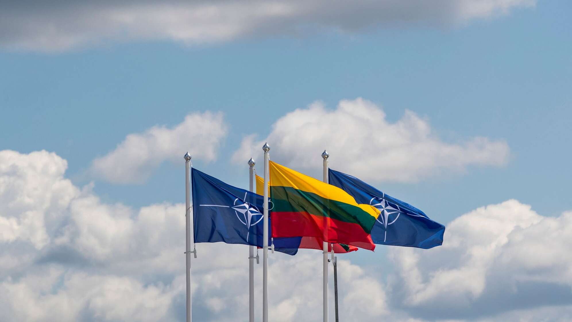 Litauische Flagge