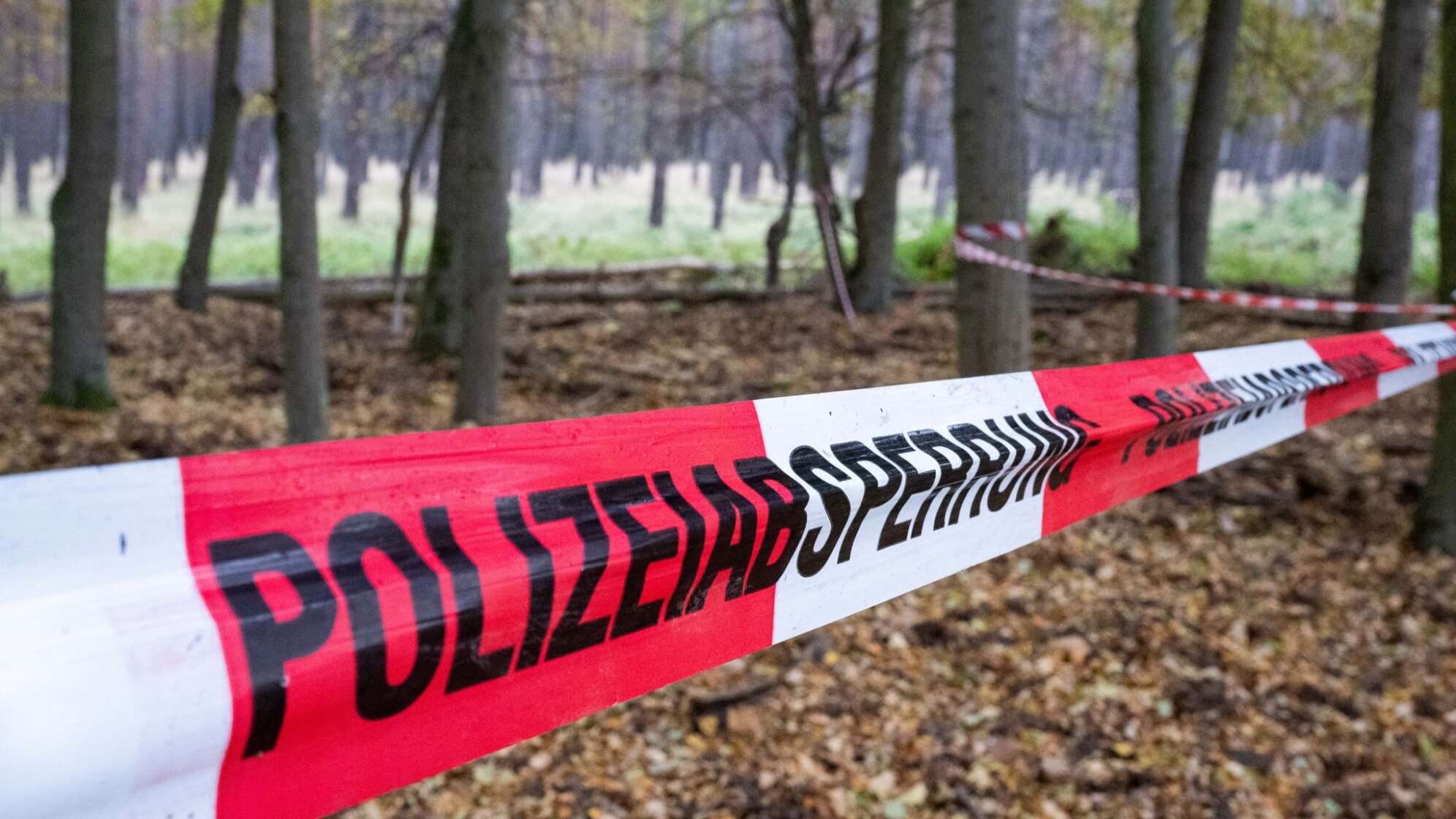Berliner Polizei in Brandenburg im Einsatz