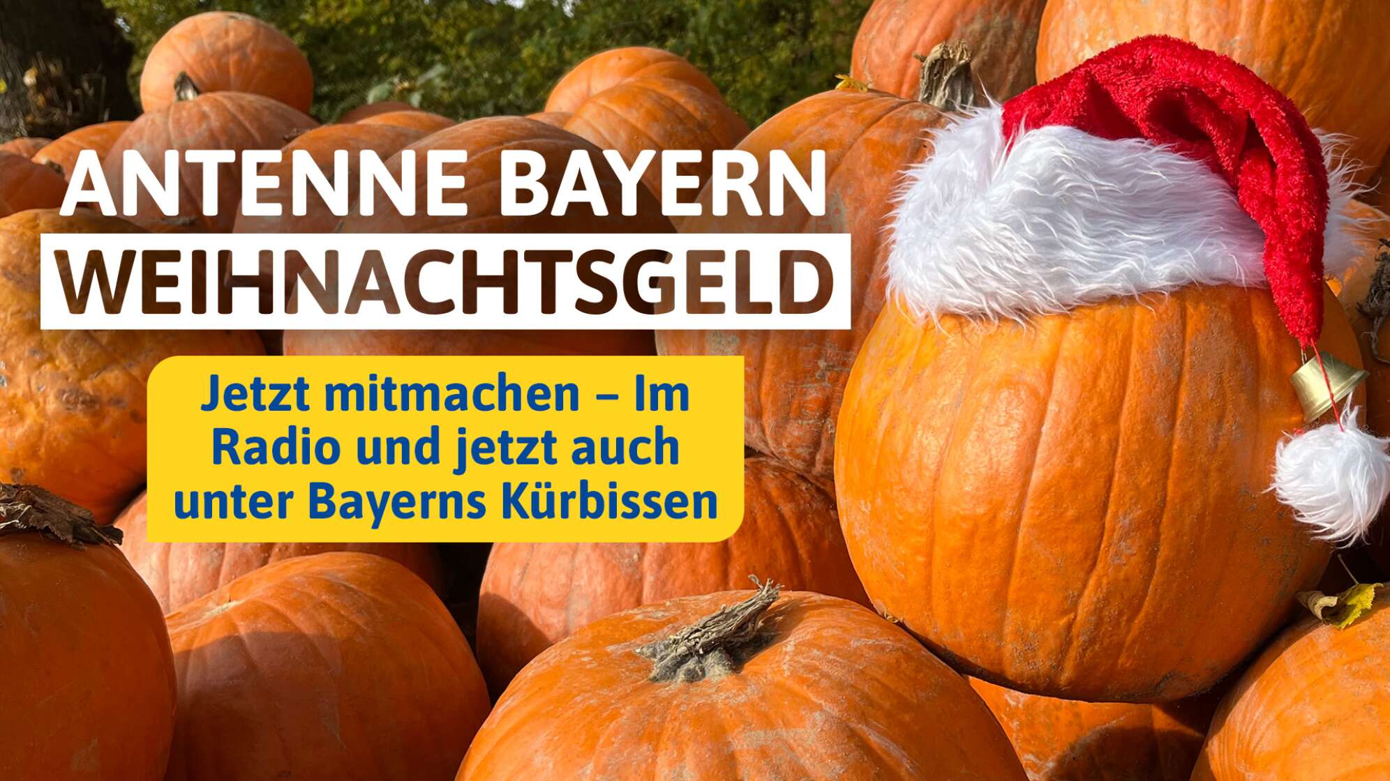 ANTENNE BAYERN Weihnachtsgeld: Im Radio & unter Bayerns Kürbissen