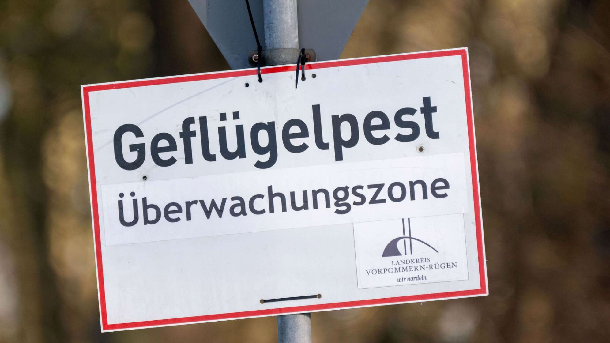 Vogelgrippe