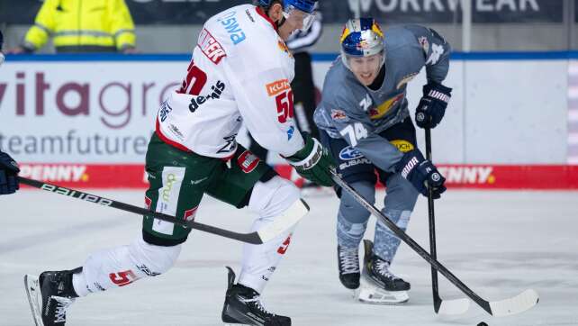 Eisbären verpflichten Abwehrspieler Lancaster aus München