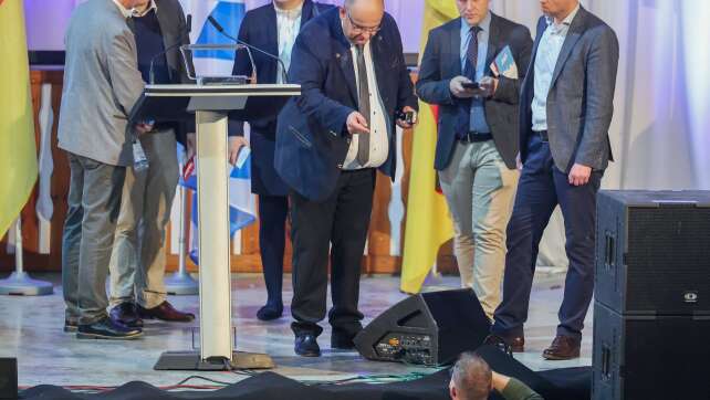 Machtkampf in der Bayern-AfD - Vorstand bleibt im Amt