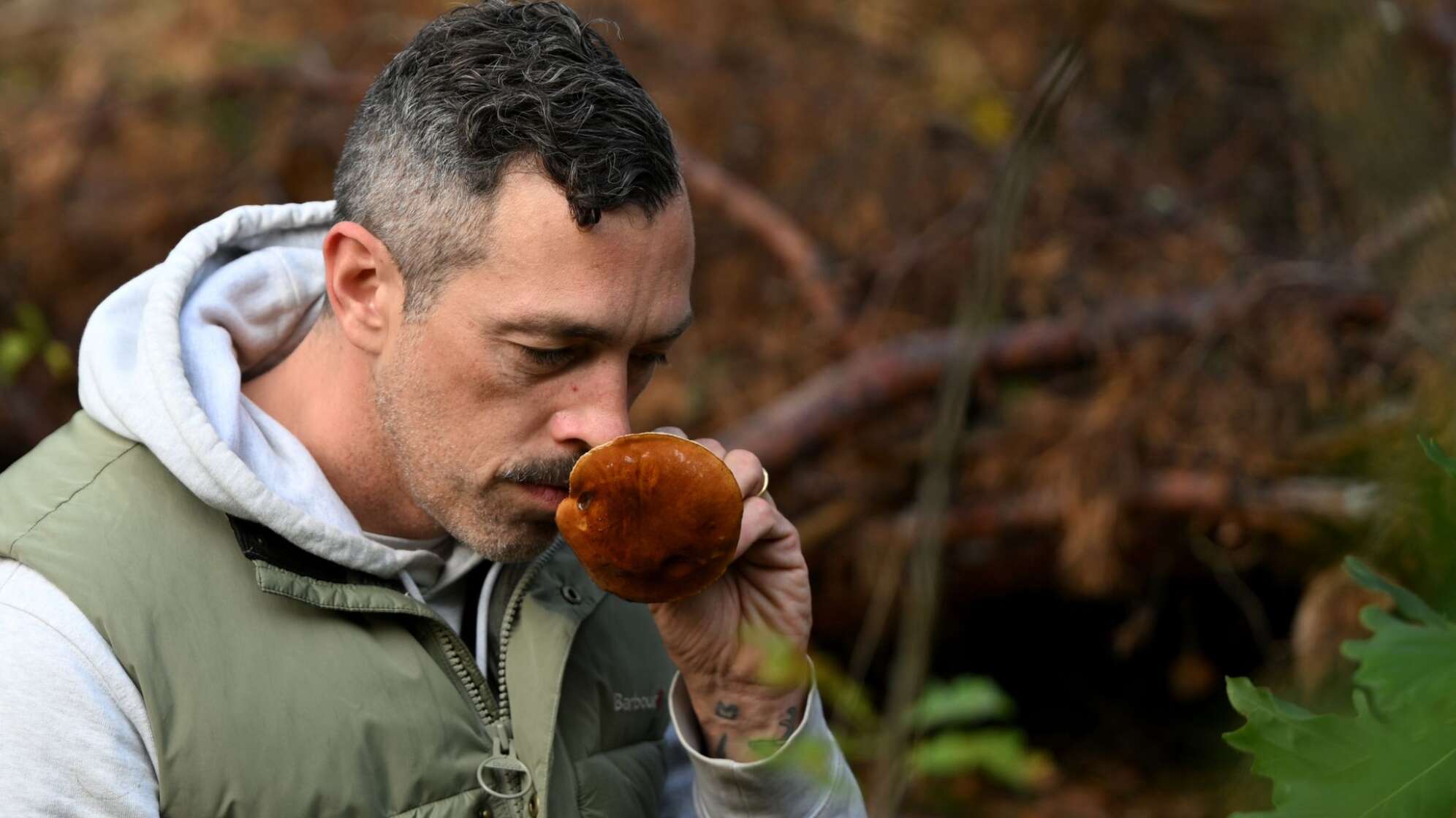 Mit einem Pilz-Influencer in den Pilzen
