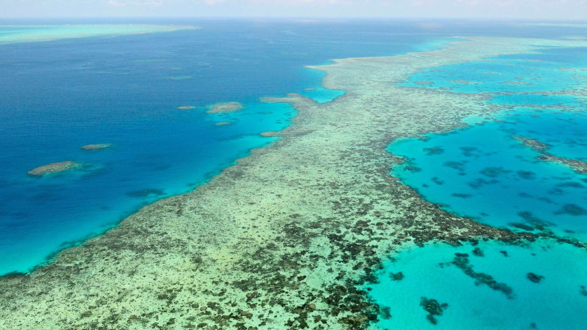 Great Barrier Reef in Australien