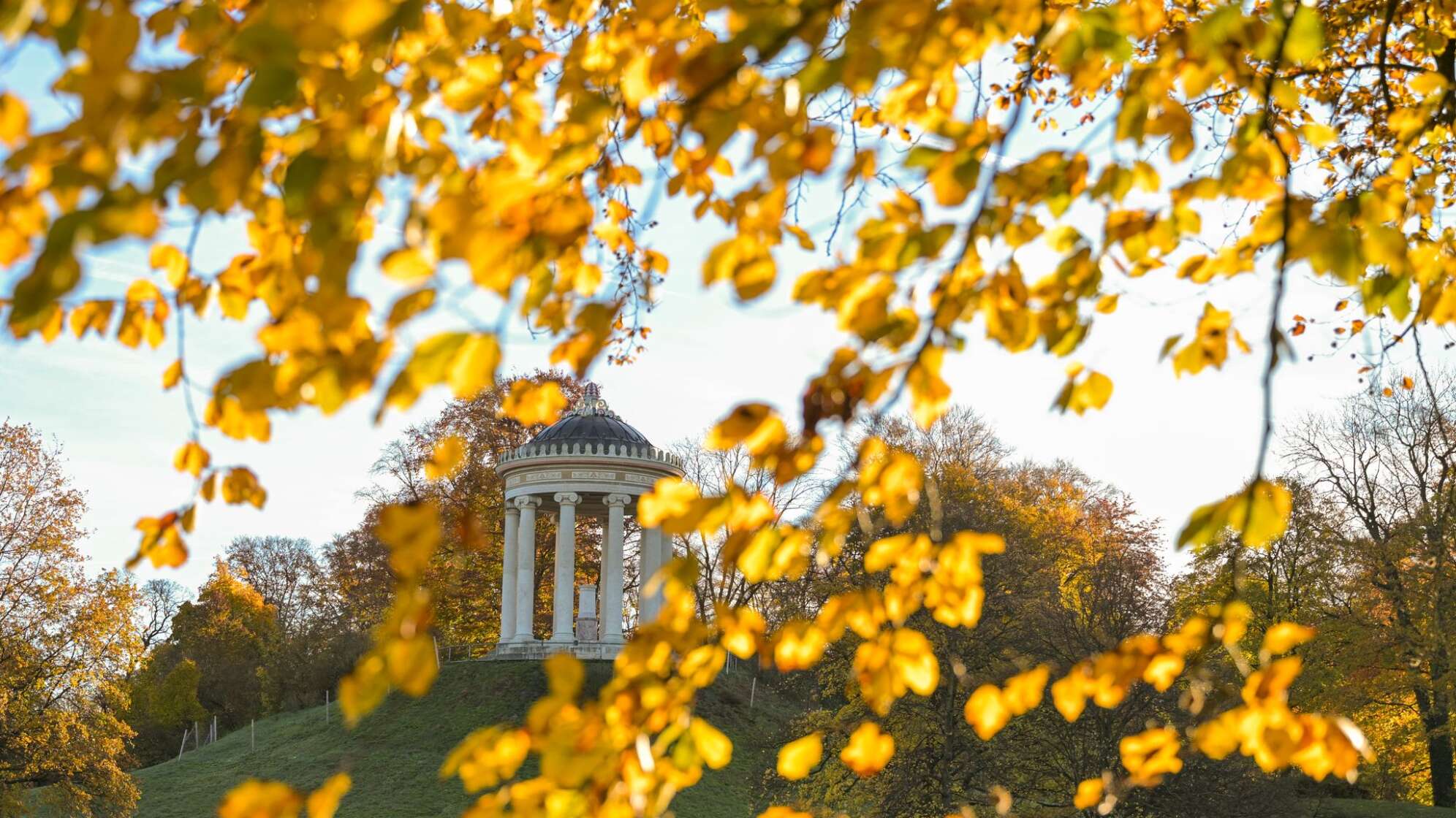 Englischer Garten im Morgenlicht