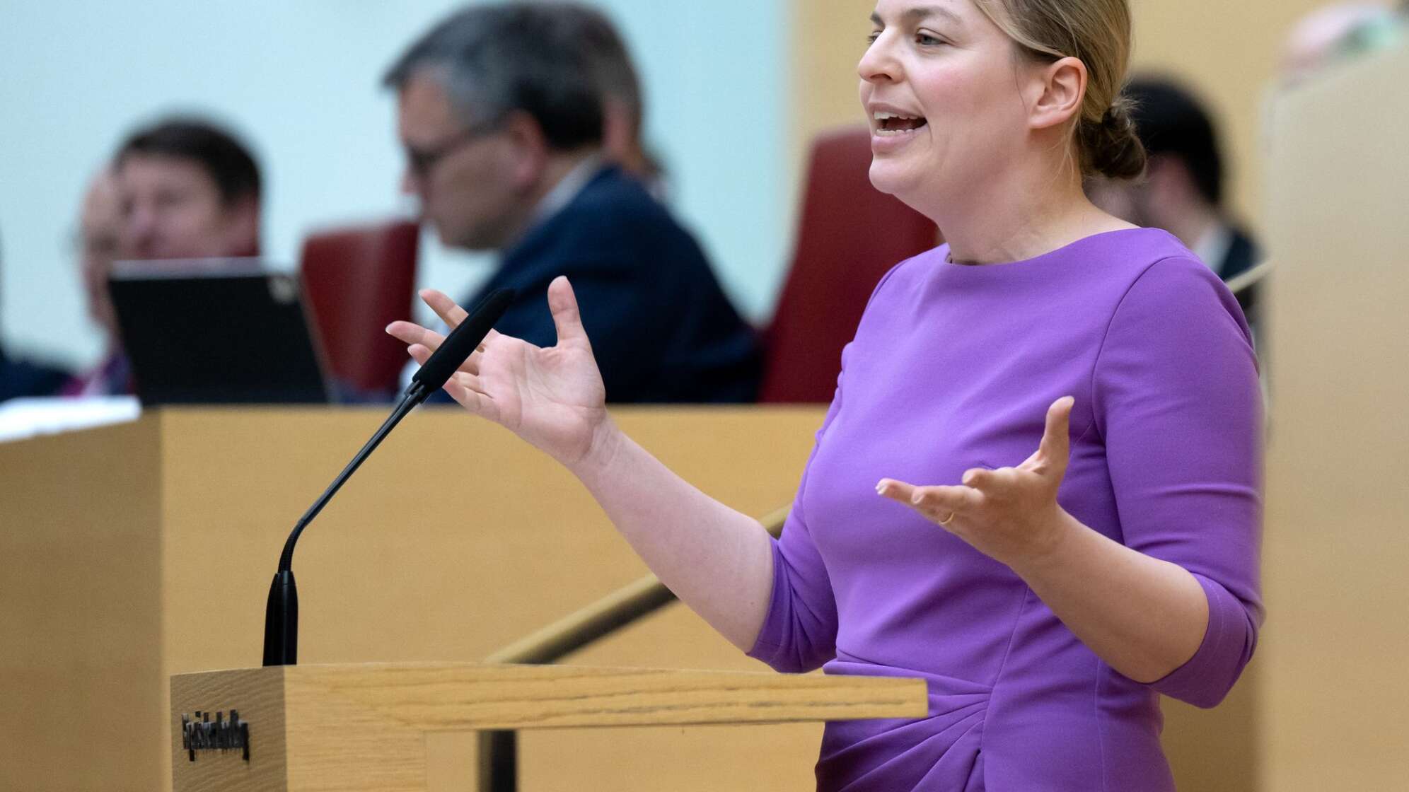 Plenarsitzung im Landtag