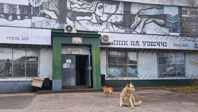 Rätsel um blaue Hunde in Tschernobyl ist gelöst