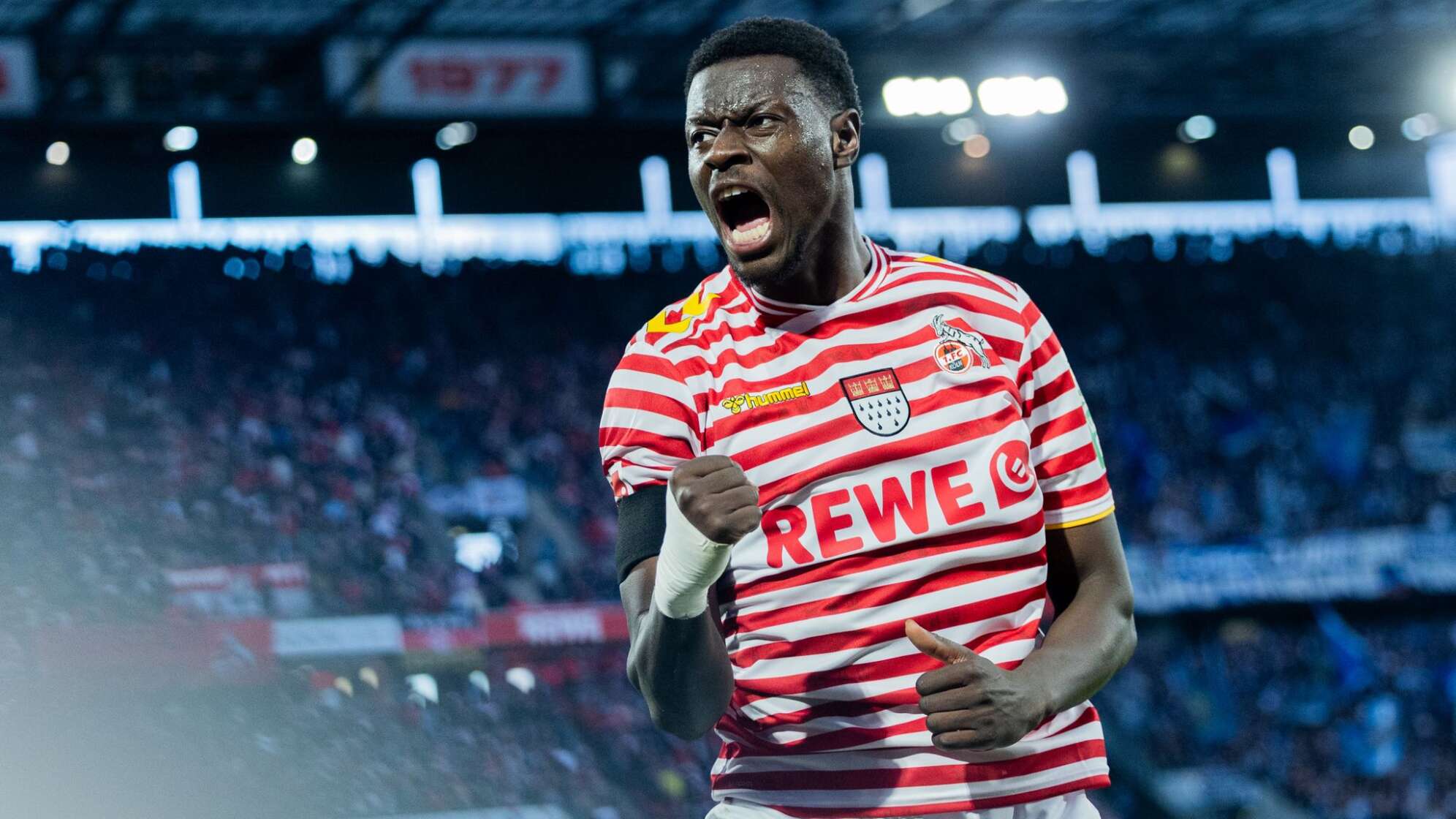 1. FC Köln - Hamburger SV