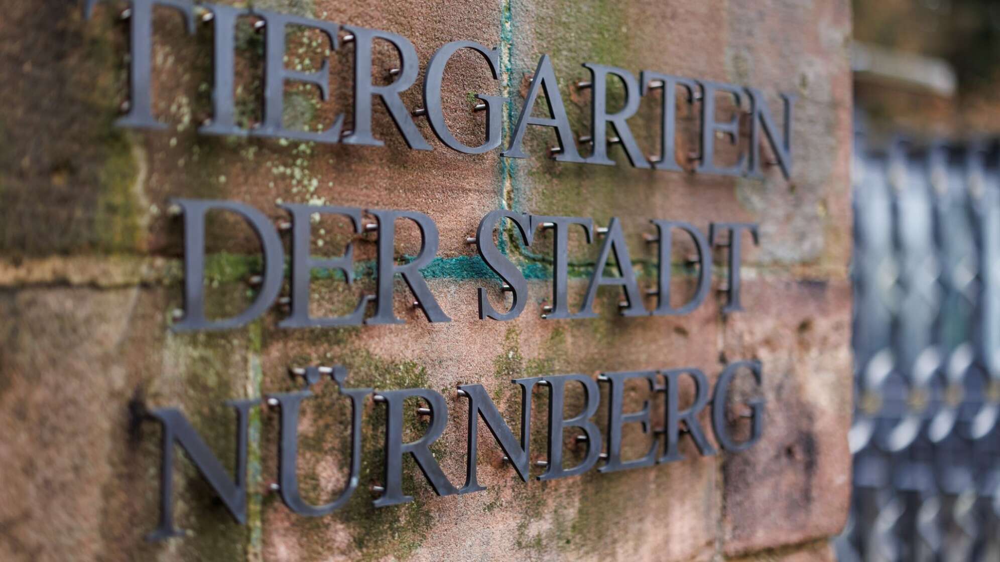 Tiergarten Nürnberg