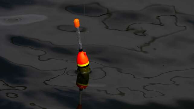 Jugendlicher angelt mit lebendem Fisch als Köder