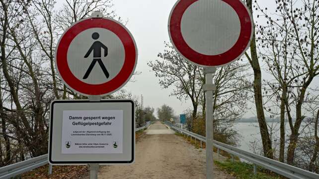 Tote Vögel an Speichersee - Behörden verhängen Sperrung