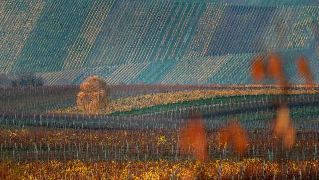 Sonne und bis zu 20 Grad - mit der neuen Woche kühler