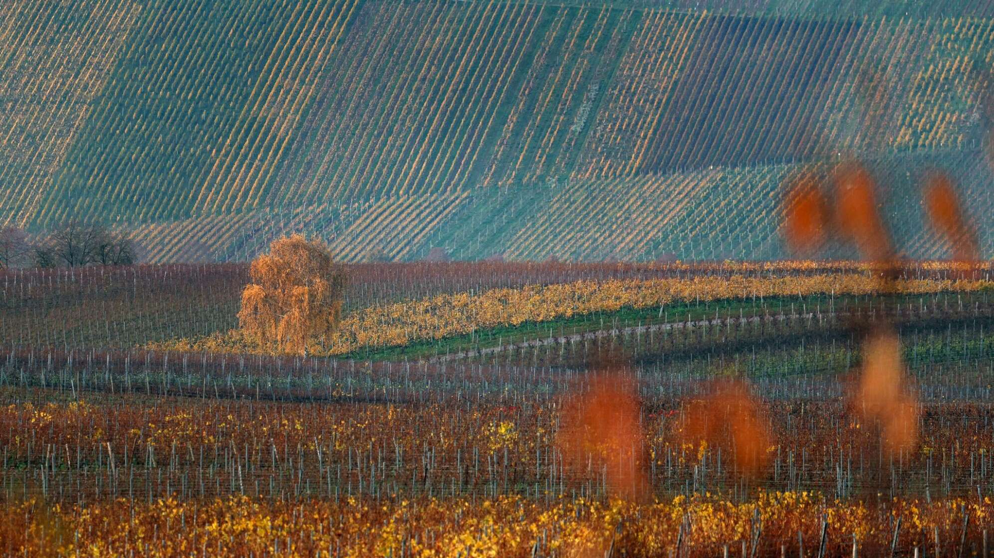 Herbst in Unterfranken