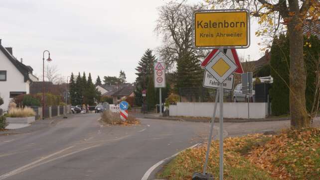 Mögliche Großkatze im nördlichen Rheinland-Pfalz gesichtet
