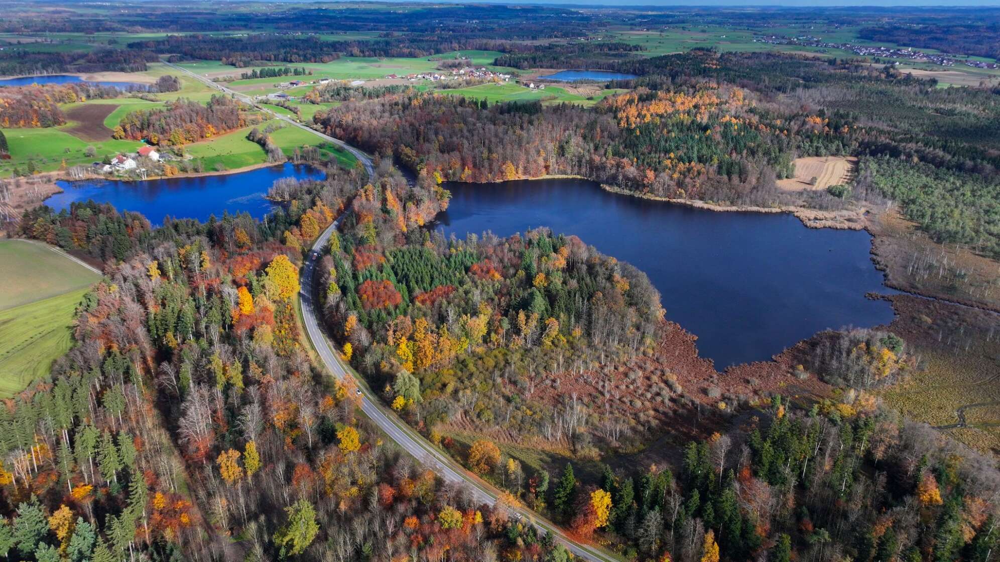 Biodiversität in Oberschwaben