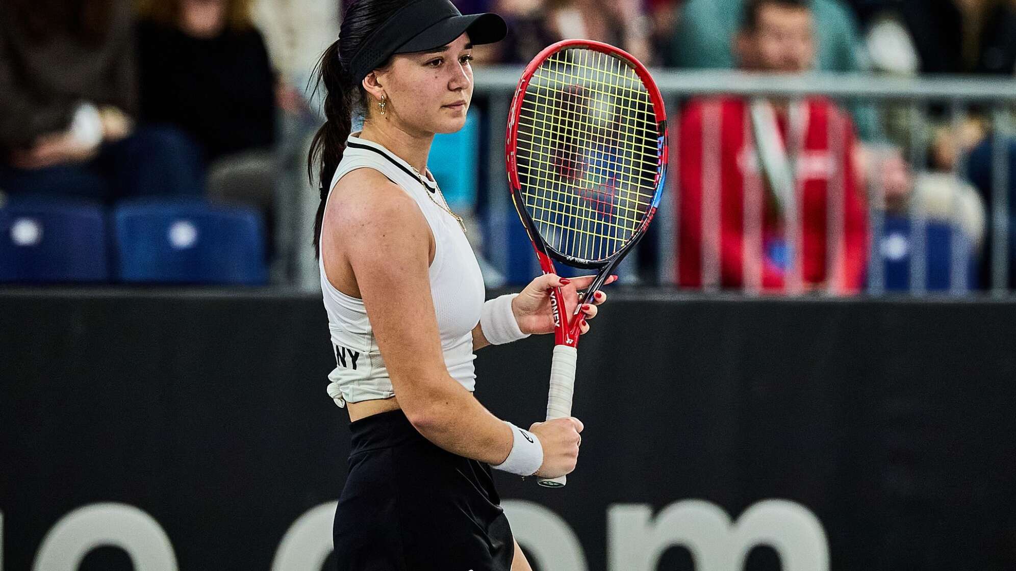 Billie Jean King Cup: Deutschland - Türkei
