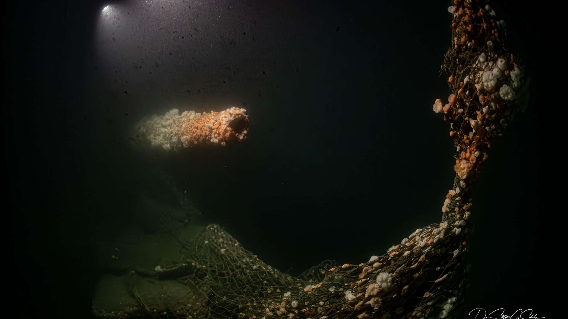 Von deutschem U-Boot versenkt: Forscher tauchen zu Wrack