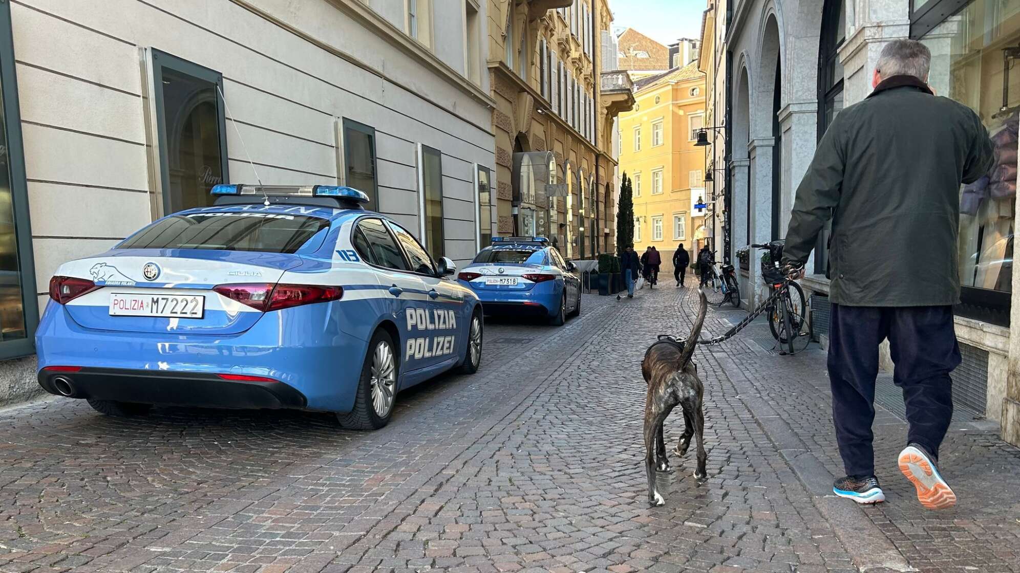 Hunde in Bozen