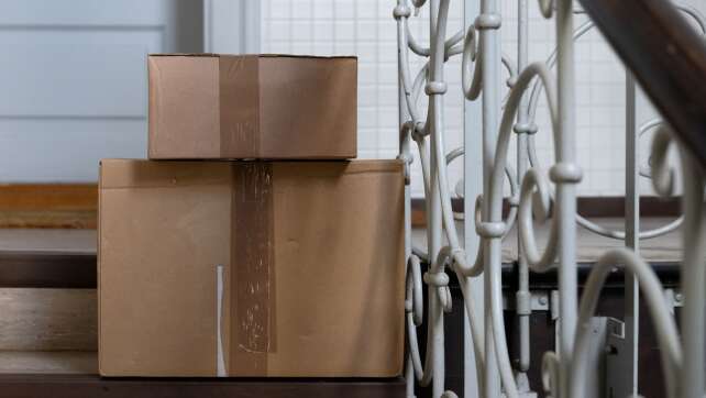 Frau gibt versehentlich Katze im Paket auf