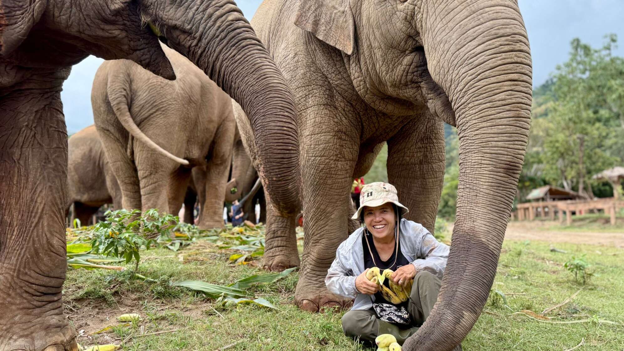 Elefantenflüsterin Saengduean «Lek» Chailert