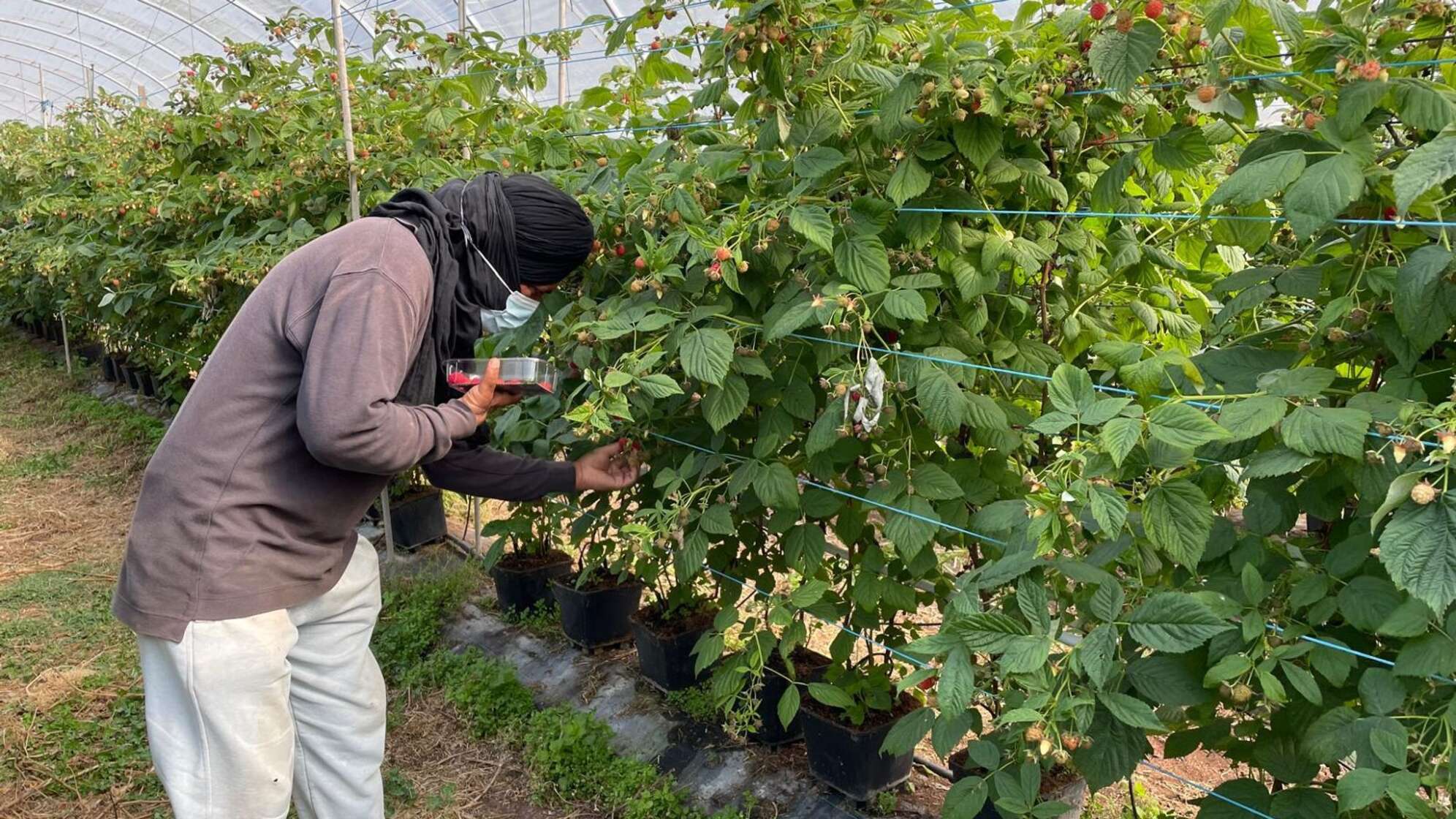 Ausbeutung von Migranten in Portugal