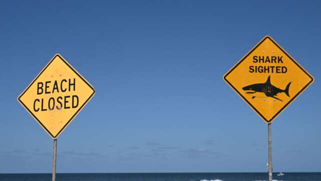 Haiattacke in Australien – Frau stirbt, Mann schwer verletzt